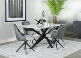 Paulita  Rectangular Dining Set White and Grey