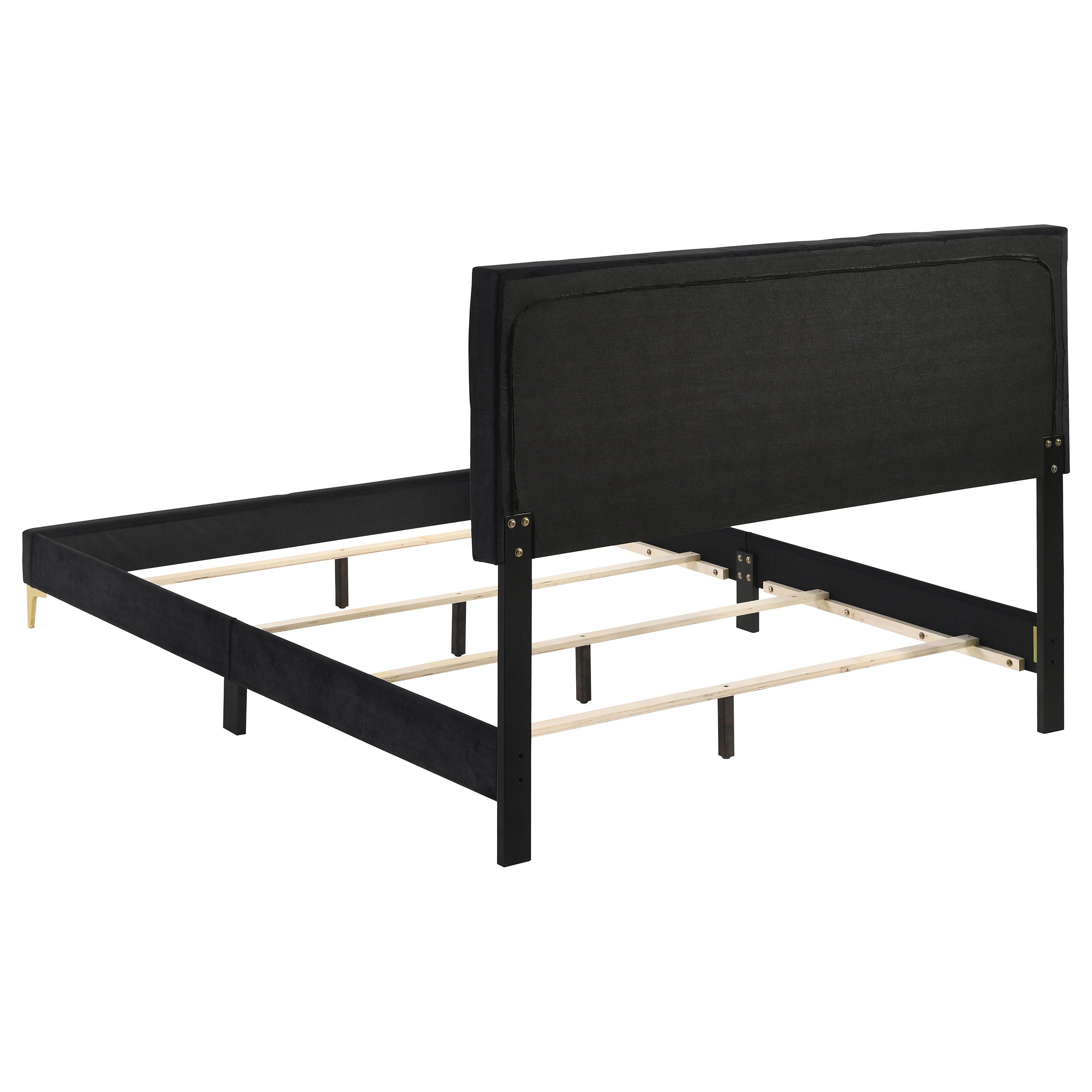 Kendall Tufted Panel  Bed Black and Gold