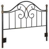 Bailey  / Full Metal Headboard Black and Bronze