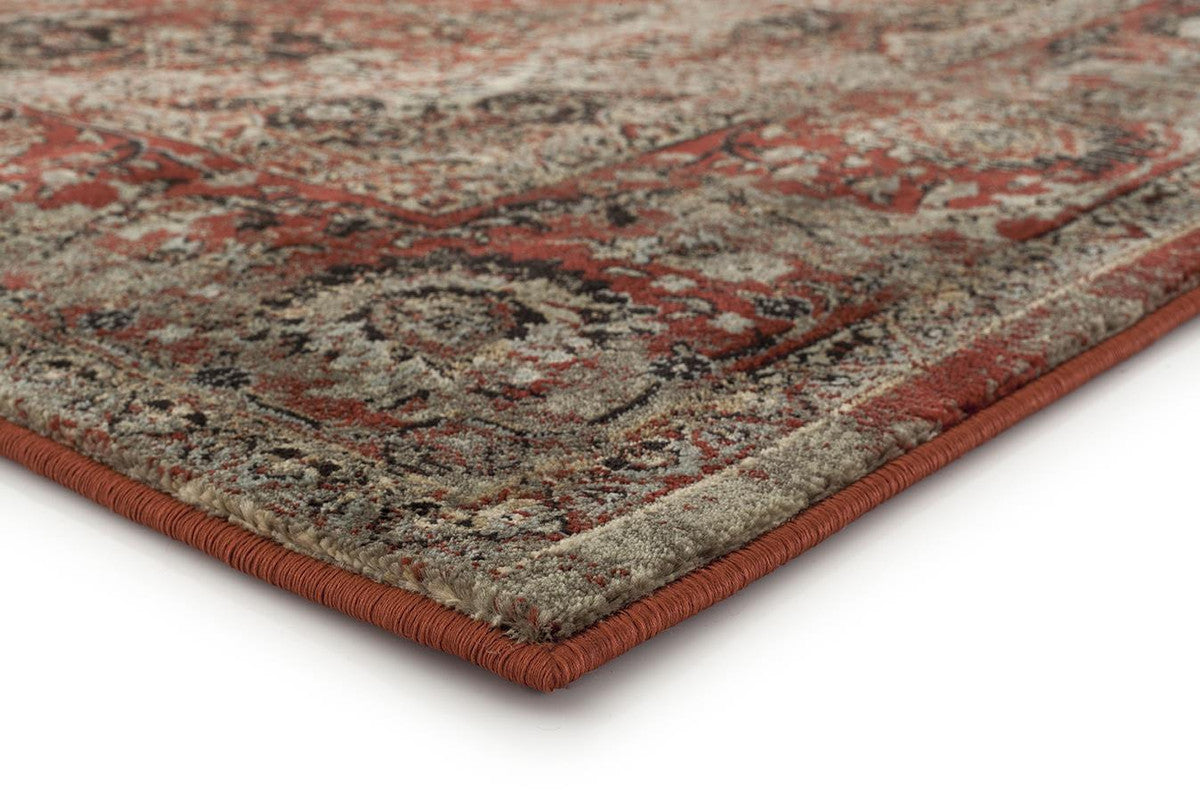 Dinjo Area Rug