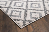 Kashun Area Rug